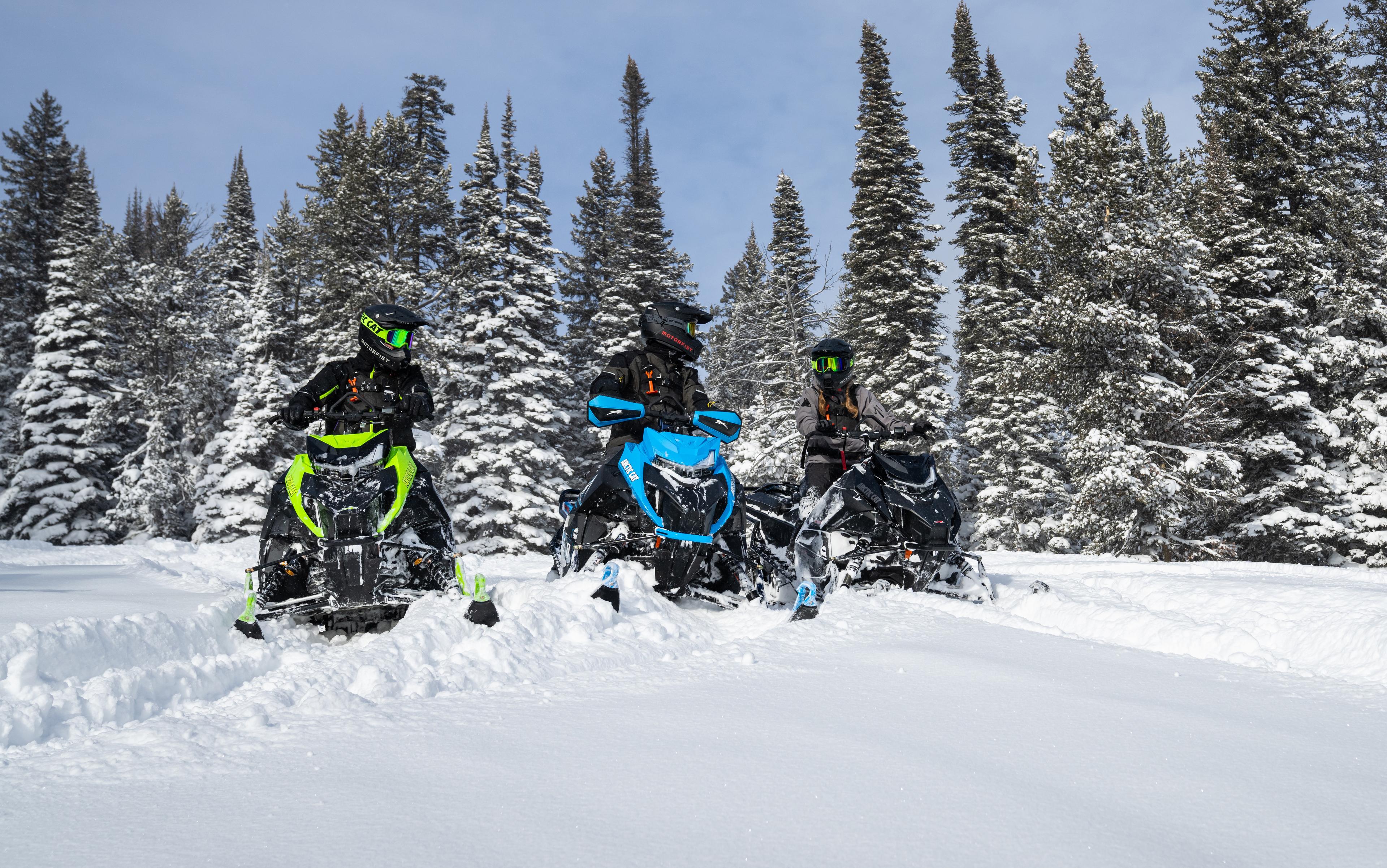 Arctic Cat teknologi
